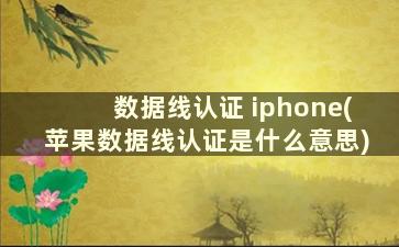 数据线认证 iphone(苹果数据线认证是什么意思)